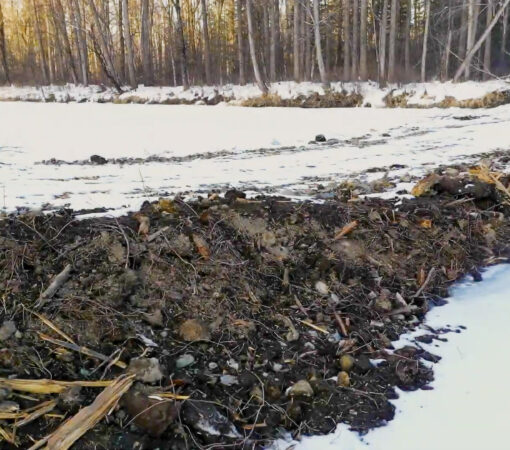 Лесозаготовители перегородили Анюй, создав угрозу для нерестовой реки