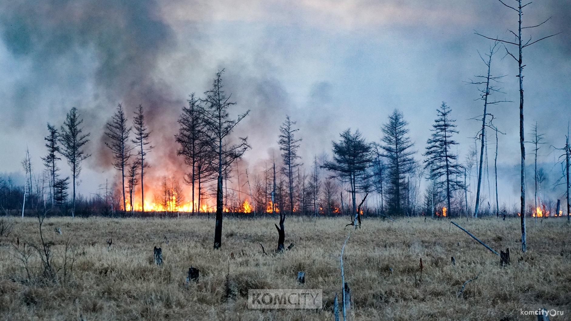 Шашлыки на природе — нельзя: В Комсомольске ужесточили противопожарный режим