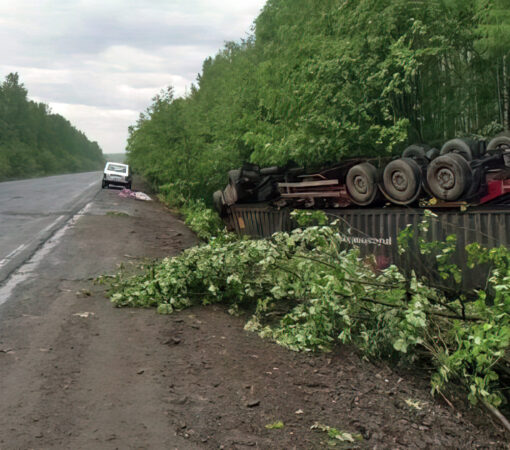 На трассе Хабаровск — Комсомольск погиб водитель съехавшего в кювет грузовика