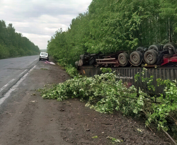На трассе Хабаровск — Комсомольск погиб водитель съехавшего в кювет грузовика