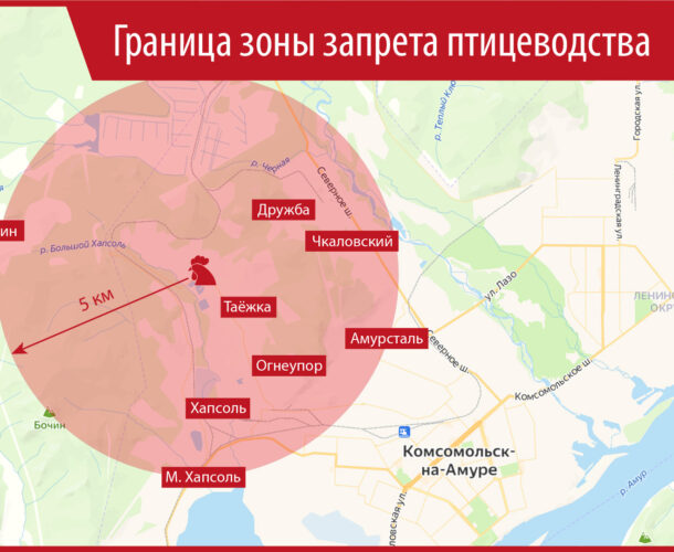 Почти всему частному сектору Центрального округа запретят держать домашнюю птицу