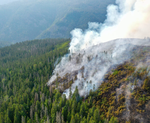 В крае быстро ухудшается обстановка с лесными пожарами
