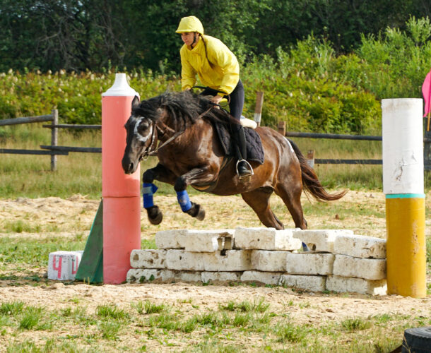 Конкур и вольтижировку увидели комсомольчане на конных соревнованиях на Огнеупоре