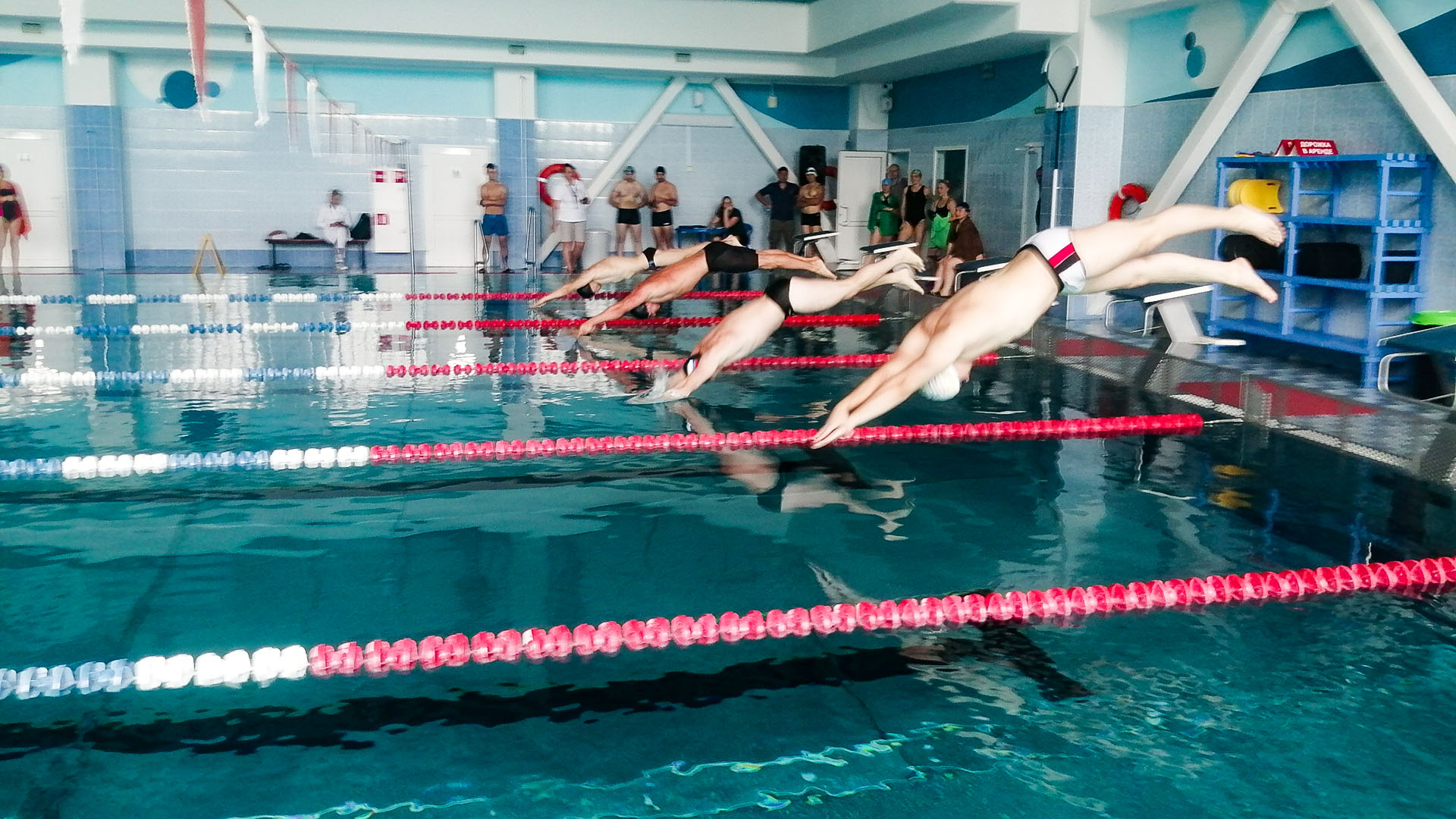 Полицейские и пожарные показали лучшие результаты на «динамовских» соревнованиях по плаванию