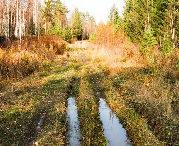 Возле СНТ «Амурские зори» нашли дедушку, два дня блуждавшего в лесу