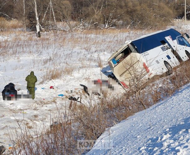 Руководитель перевозчика, в автобусе которого под Троицким погибли 8 человек, идёт под суд вслед за водителем