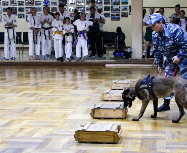На фестивале «Часовые родины» комсомольчане познакомились с разными видами единоборств и служебными собаками