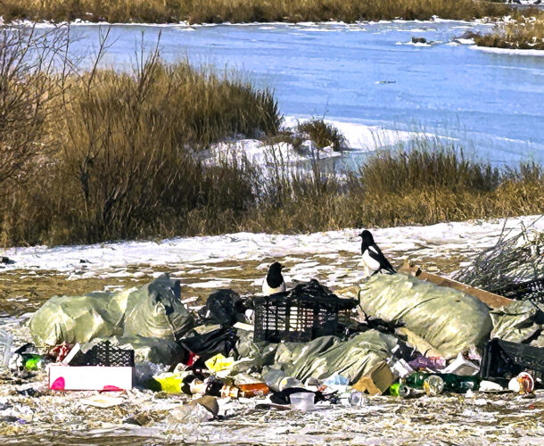 Кучу строительного и бытового мусора вывалили прямо на обочине Амурского шоссе