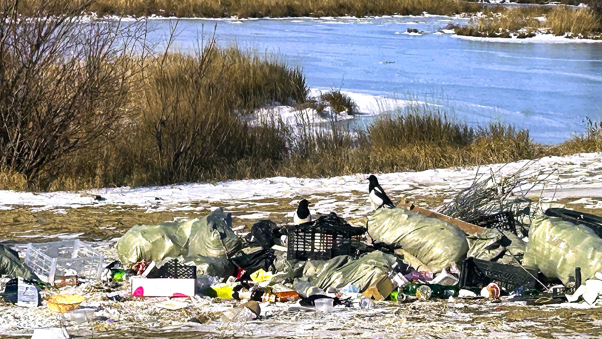 Кучу строительного и бытового мусора вывалили прямо на обочине Амурского шоссе