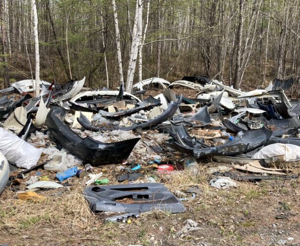 Природоохранный прокурор проведёт приём в Комсомольске на этой неделе