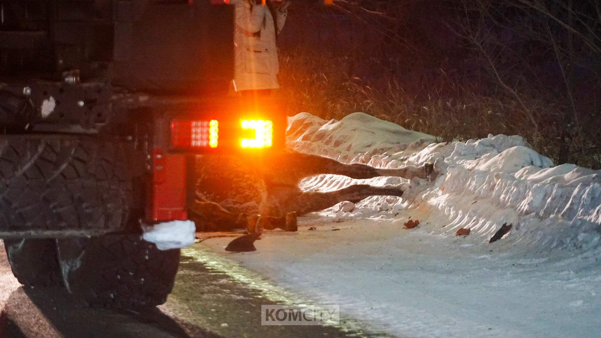 В Комсомольске-на-Амуре лошадь врезалась в КамАЗ и погибла