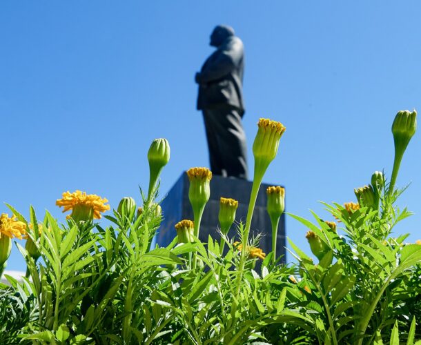 В этом году в Комсомольске высадят в два раза больше цветов, чем в прошлом 