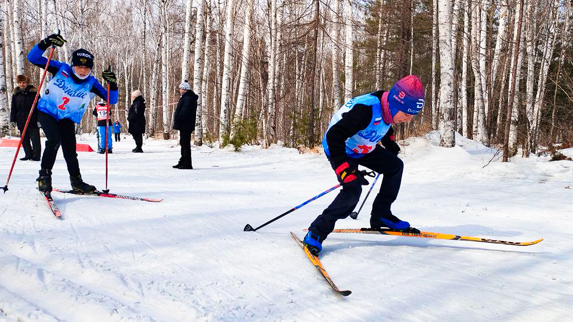 170 лыжников приняли участие в соревнованиях «Юный динамовец»