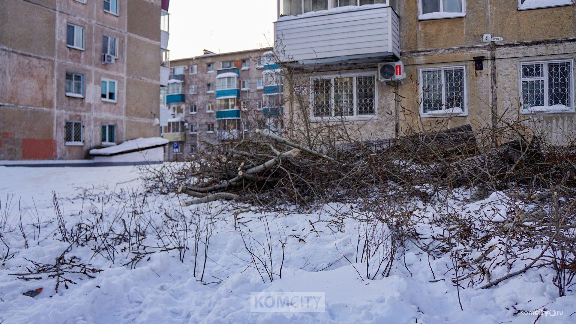 Вопросы по сносу и обрезке деревьев в Комсомольске можно задать сегодня по телефону «горячей линии»