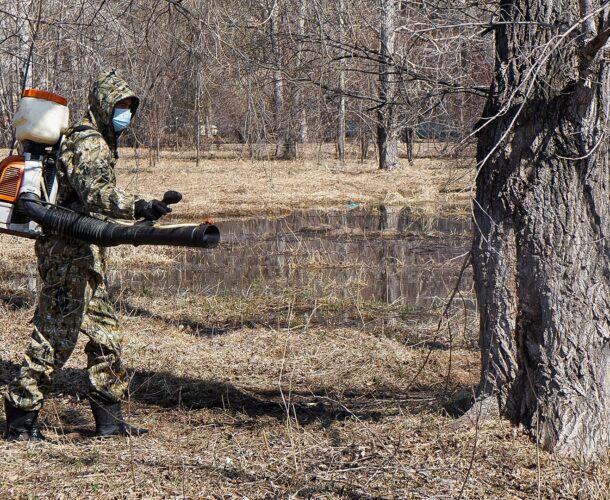 Комсомольские парки начали обрабатывать от клещей 