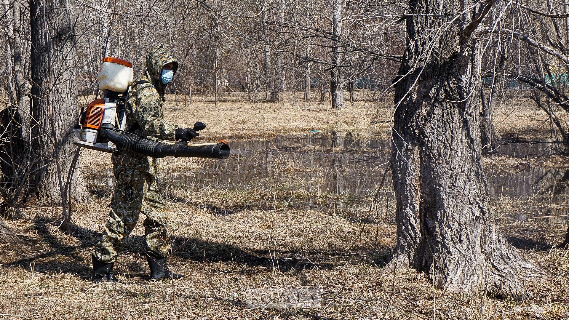 Комсомольские парки начали обрабатывать от клещей 