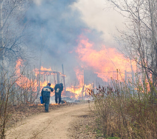 В крае из-за пожаров ввели режим ЧС, а жителям закрыли доступ в лес