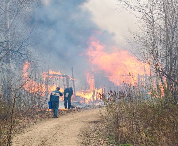 В крае из-за пожаров ввели режим ЧС, а жителям закрыли доступ в лес