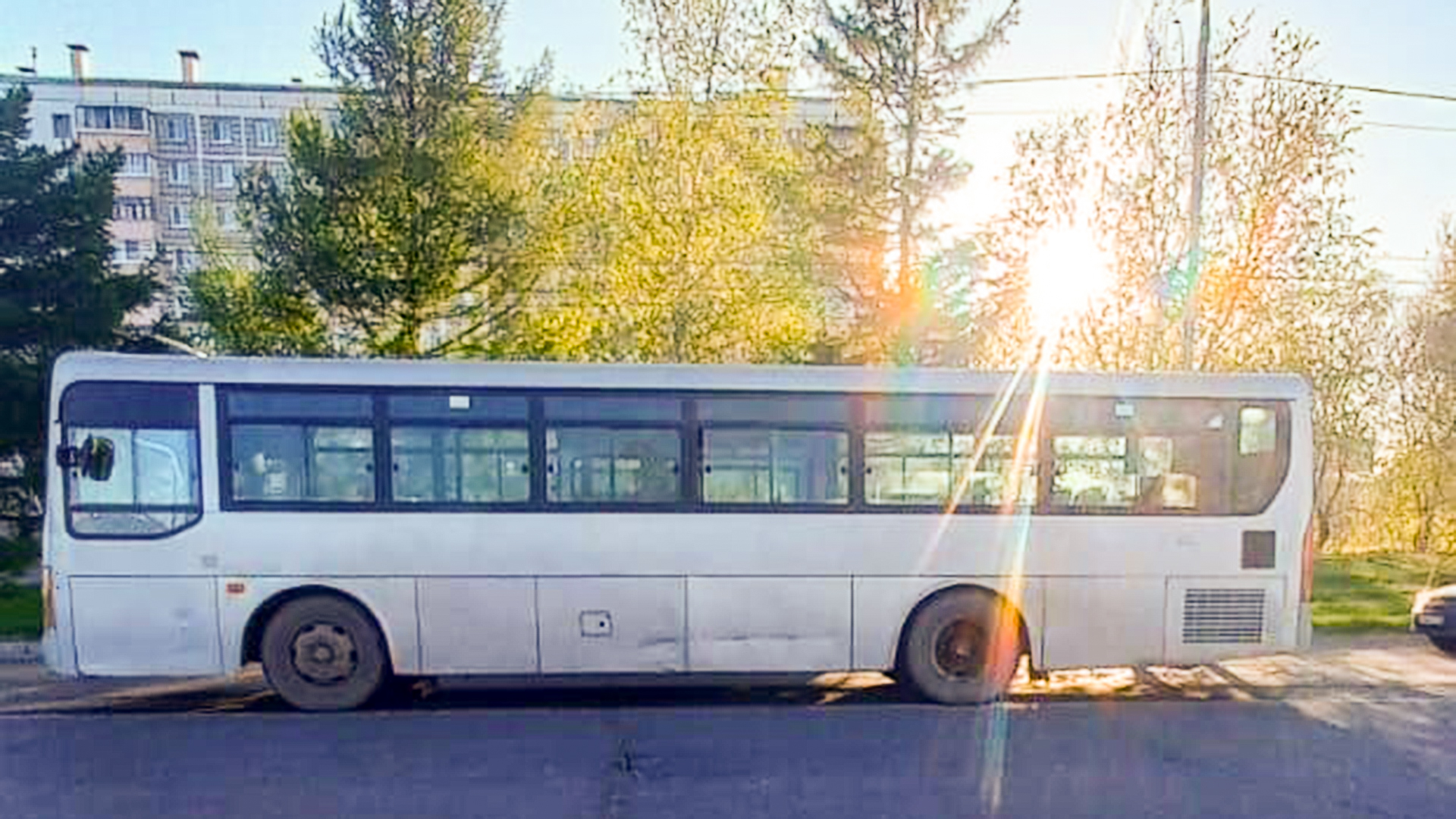 На проспекте Победы пьяный пешеход кинулся под колёса автобусу