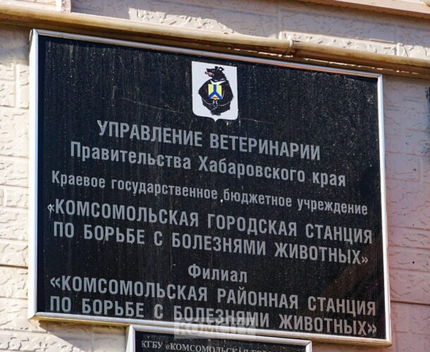 Начальник краевого Управления ветеринарии проведёт приём в Комсомольске в этот четверг
