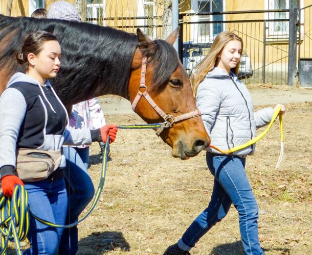 Проголосовать за лучшую некоммерческую организацию города могут комсомольчане — НКО-победитель получит 75 тысяч рублей