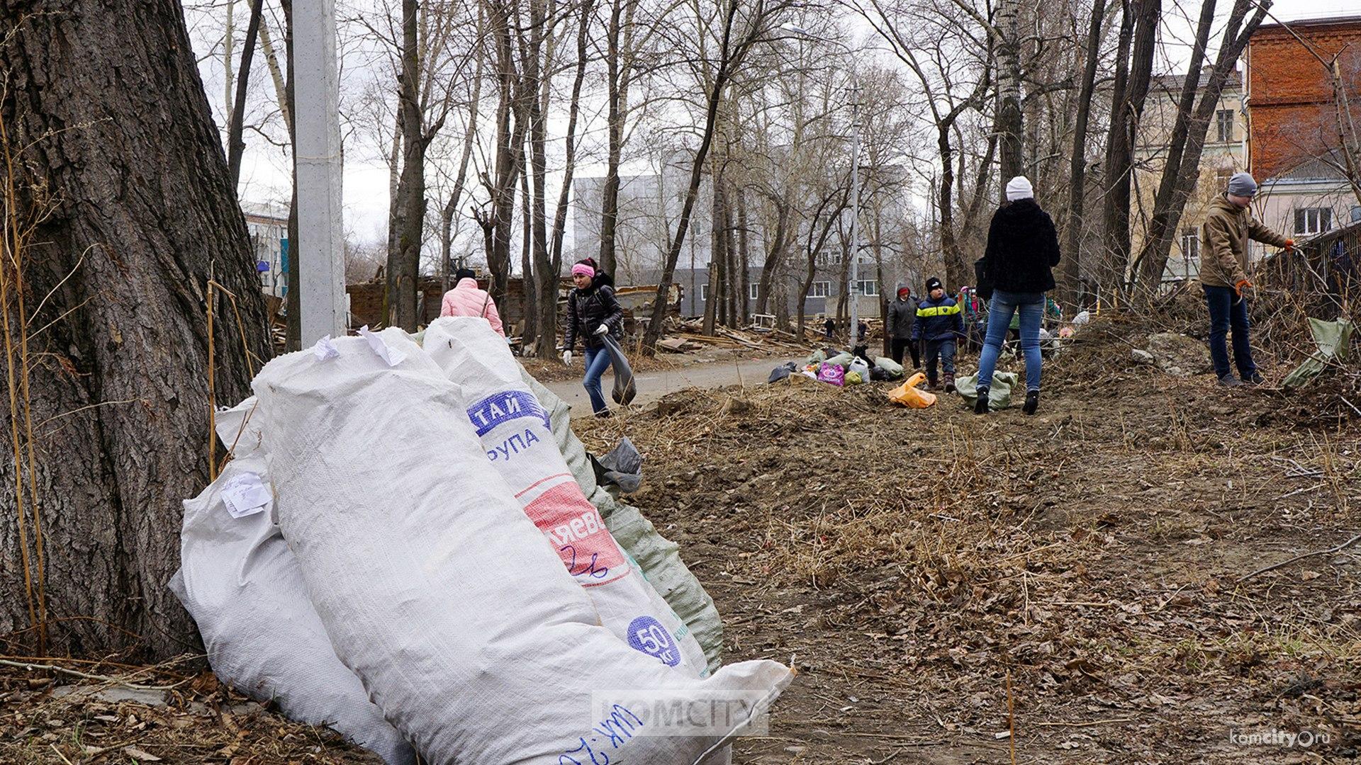 Ещё один субботник проведут в Комсомольске 12 октября