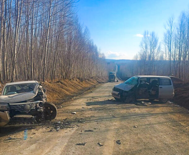 В ДТП на трассе Селихино — Снежный пострадал пассажир