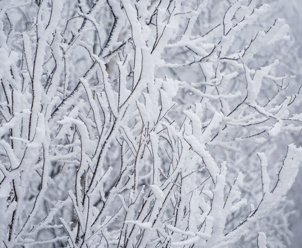 Белоснежный Комсомольск — фоторепортаж накануне ЧС