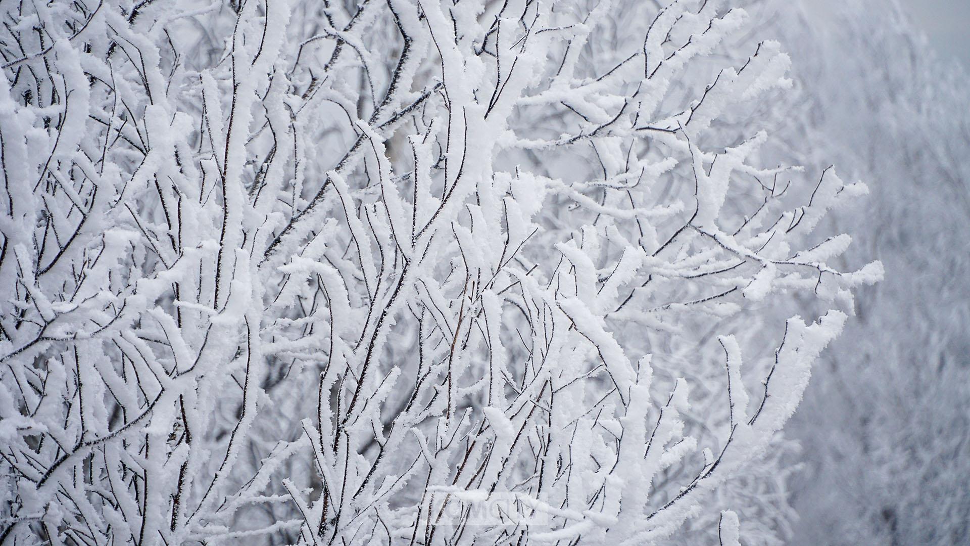 Белоснежный Комсомольск — фоторепортаж накануне ЧС