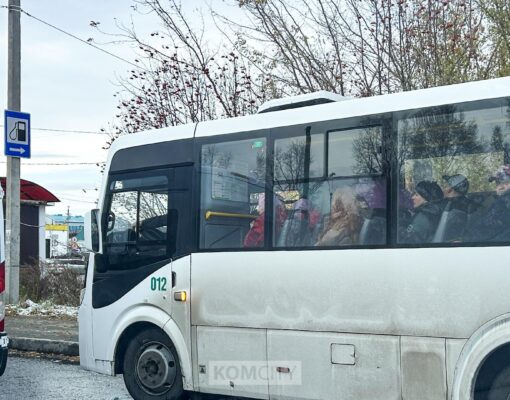 Краеведческий музей Комсомольска-на-Амуре приглашает на выставку «Места заповедные…»