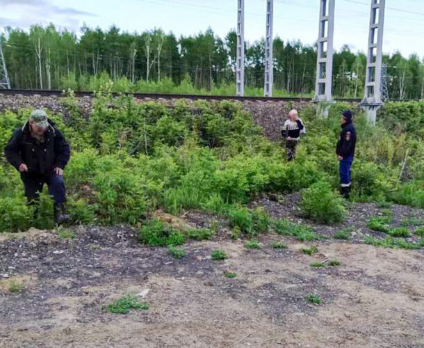 Комсомольские спасатели вывели из леса заблудившуюся сборщицу дикоросов