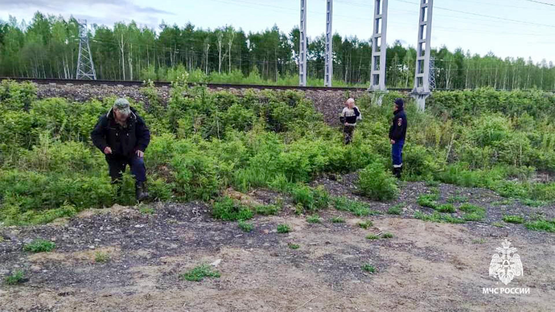 Комсомольские спасатели вывели из леса заблудившуюся сборщицу дикоросов