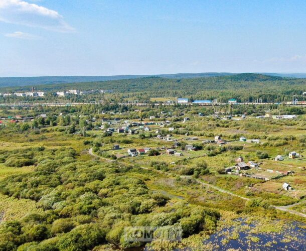 Дачников и огородников помериться огурцами и кабачками на городском конкурсе