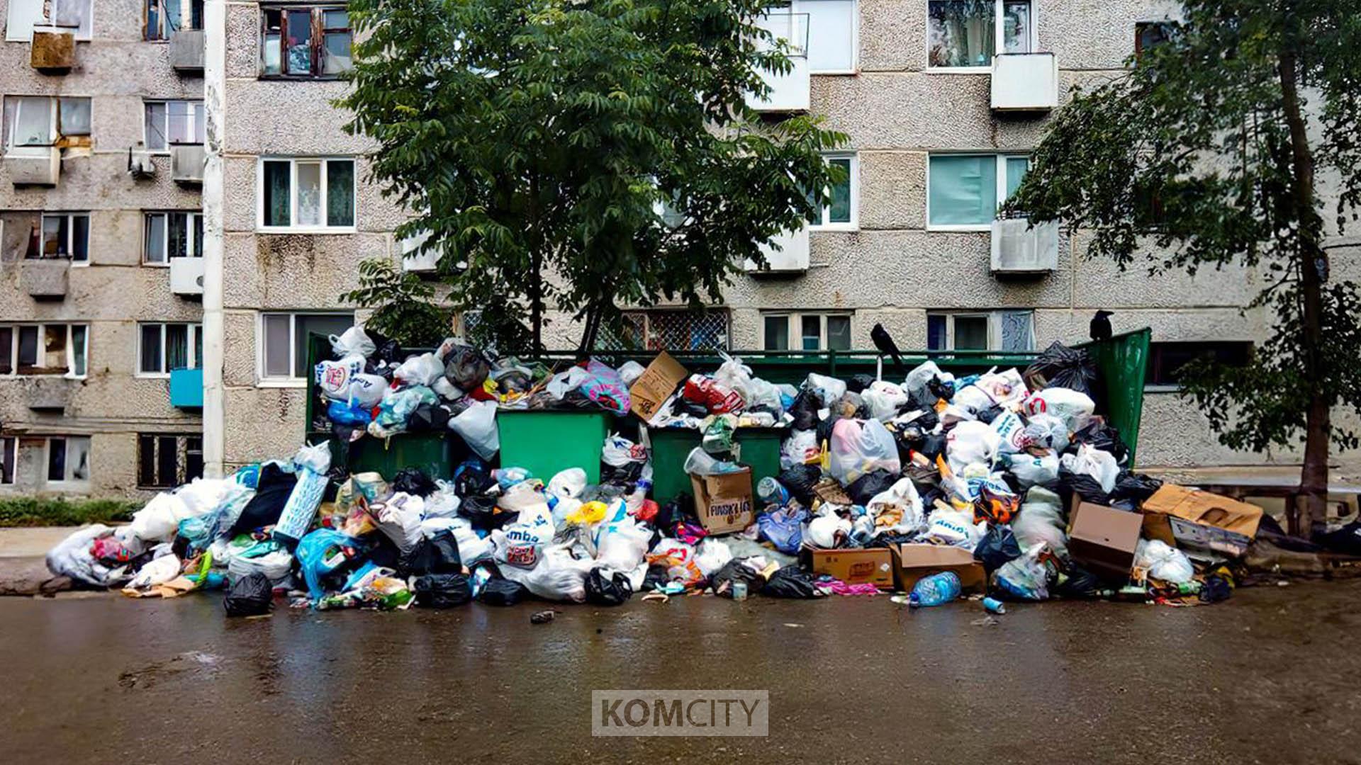 Мусорный регоператор начнёт работу в Комсомольске уже с 1 июля, и вот что вам нужно знать об этом