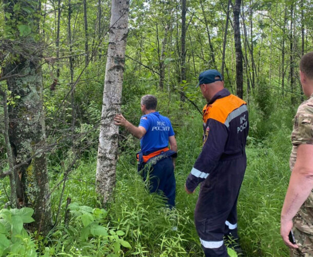 В районе Снежного потерялся, всех напугал и сам нашёлся сборщик дикоросов
