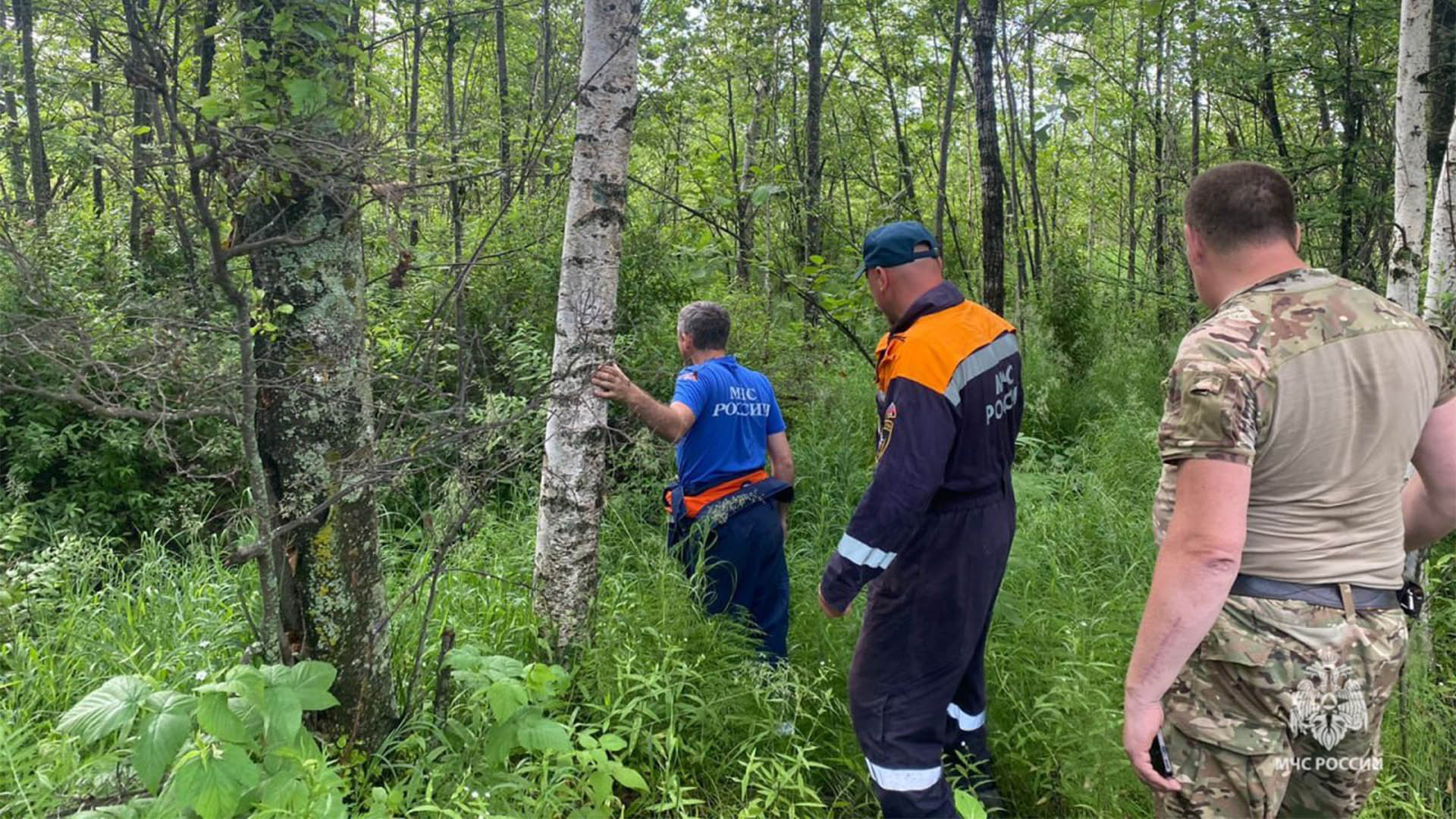 В районе Снежного потерялся, всех напугал и сам нашёлся сборщик дикоросов