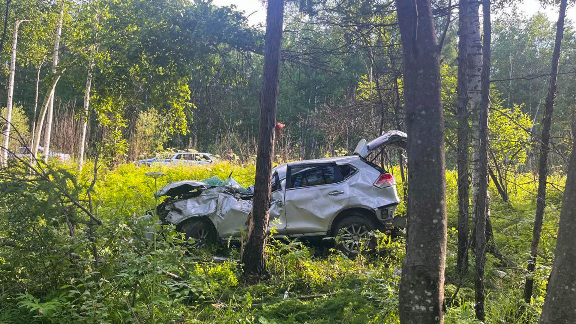 Водителю стало плохо? Под Амурском Ниссан на полном ходу уехал с дороги в лес