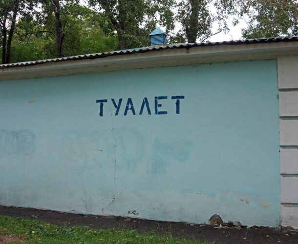 Очередное заседание Общественного совета посветят городским туалетам 