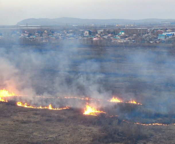 35 тысяч заплатят родители подростка, устроившего травяной пал в Молодёжном