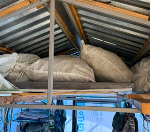 В Комсомольске пенсионерка собрала 25 кило конопли «для себя»