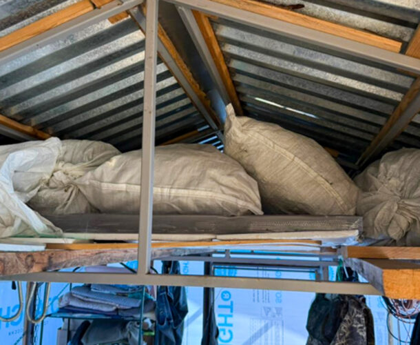 В Комсомольске пенсионерка собрала 25 кило конопли «для себя»