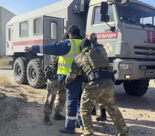 47 нарушителей миграционного законодательства выявили в ходе операции «Нелегал»