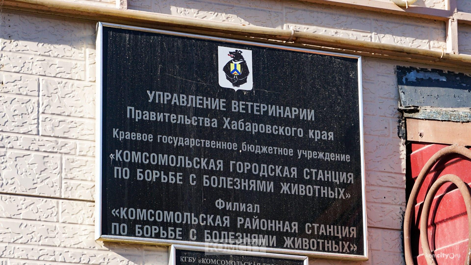 Начальник краевого управления ветеринарии проведёт личный приём комсомольчан