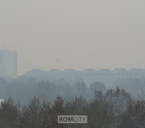 «Горячую линию» по состоянию окружающей среды проведут завтра в администрации города