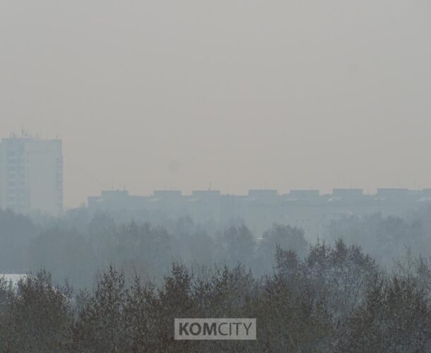 «Горячую линию» по состоянию окружающей среды проведут завтра в администрации города