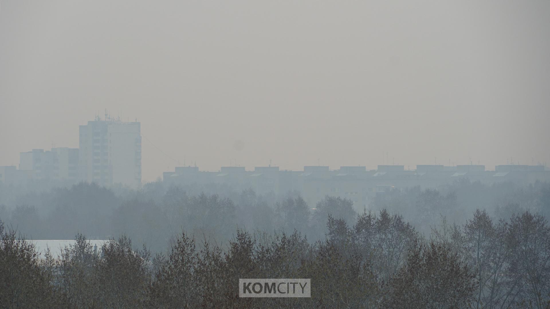 «Горячую линию» по состоянию окружающей среды проведут завтра в администрации города