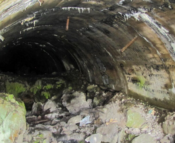 Очередную открытую лекцию в библиотеке посвятят Амурскому тоннелю