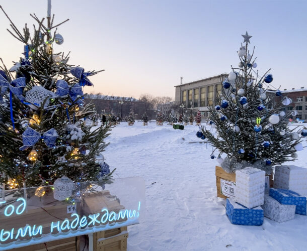 В субботу на площади Юности назовут победителей конкурса «Ёлки-иголки» 
