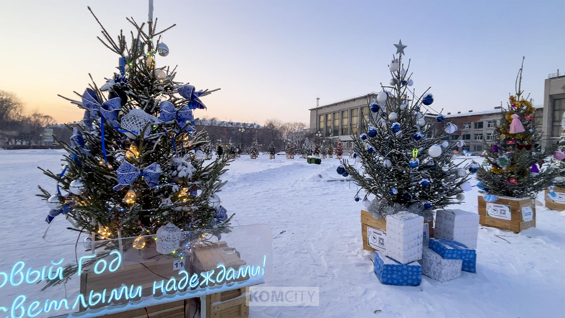 В субботу на площади Юности назовут победителей конкурса «Ёлки-иголки» 