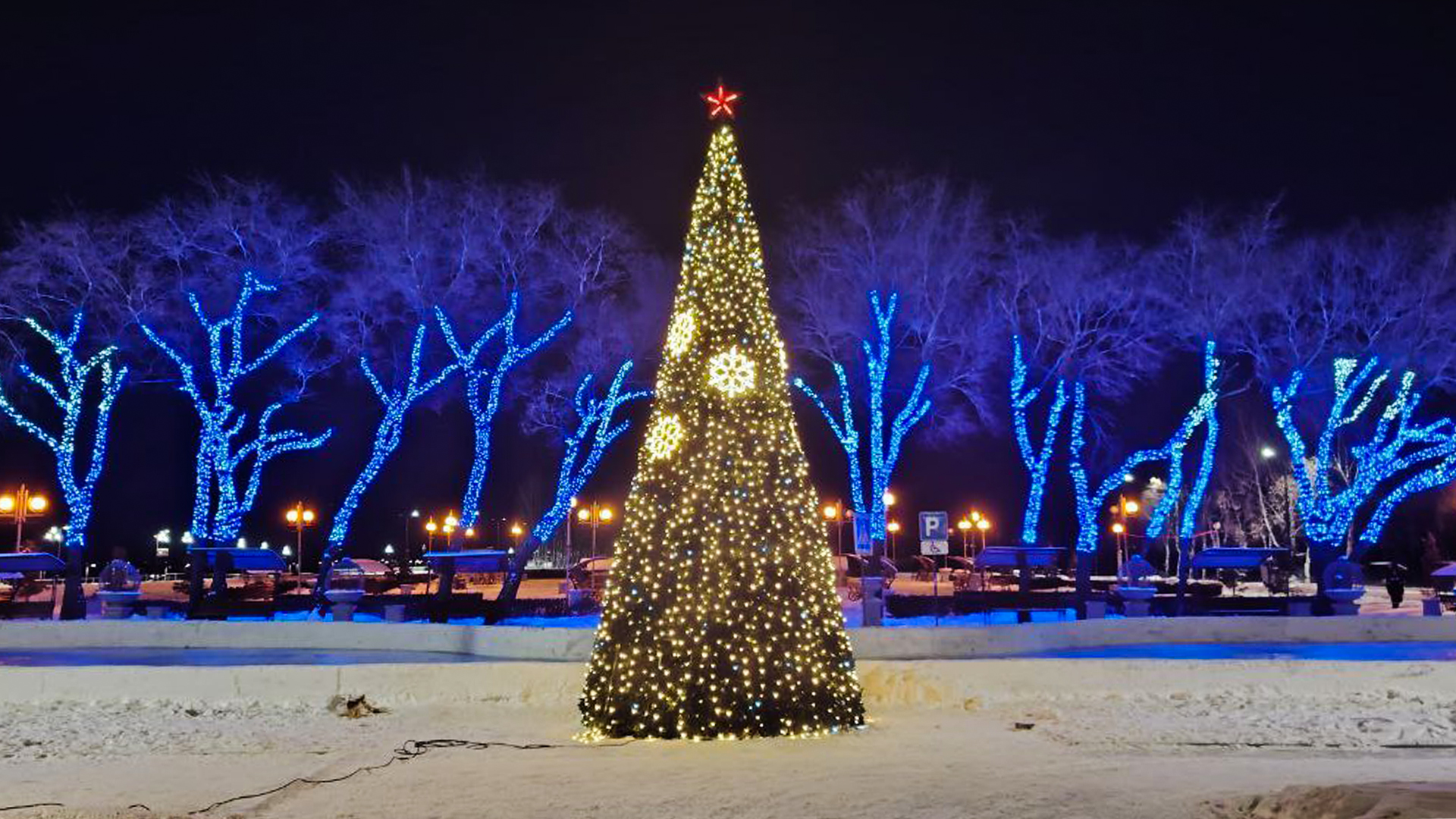 Каток на Набережной откроют в пятницу, 26 декабря